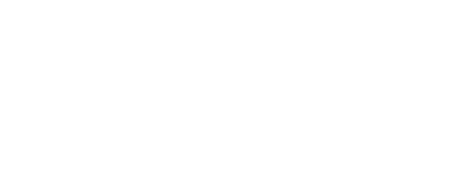 logo-wavelink